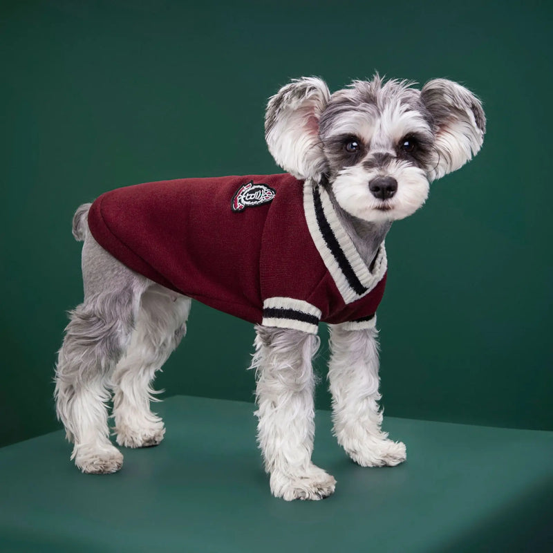 Suéter Estilo Universitário para Pets: pequenos e médios / Cães e Gatos