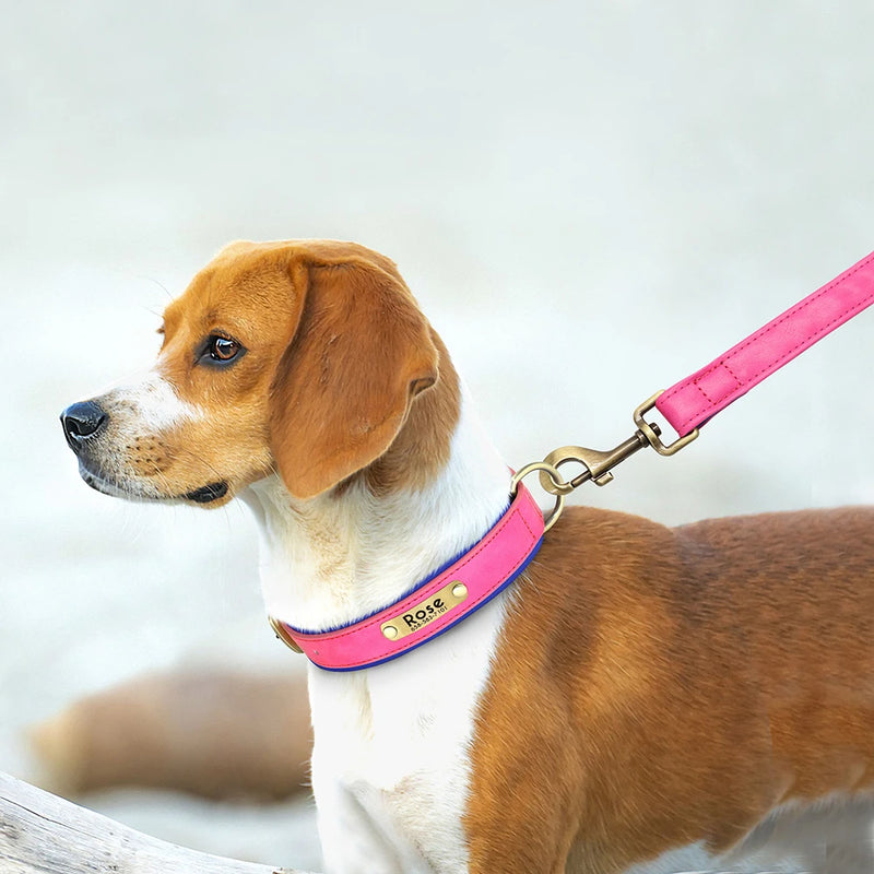 Coleira de Couro, Completa com extensão para cães