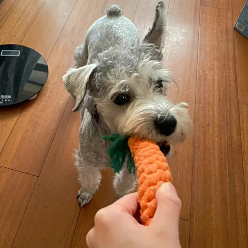 Brinquedos de cordas para Limpeza  de Dentes para  Filhotes de Cães e gatos